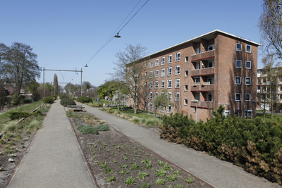 914057 Gezicht op het park Oosterspoorbaan te Utrecht (voormalige Oosterspoorweg), met rechts een van de studentenflats ...